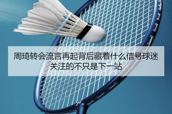 周琦转会流言再起背后藏着什么信号球迷关注的不只是下一站